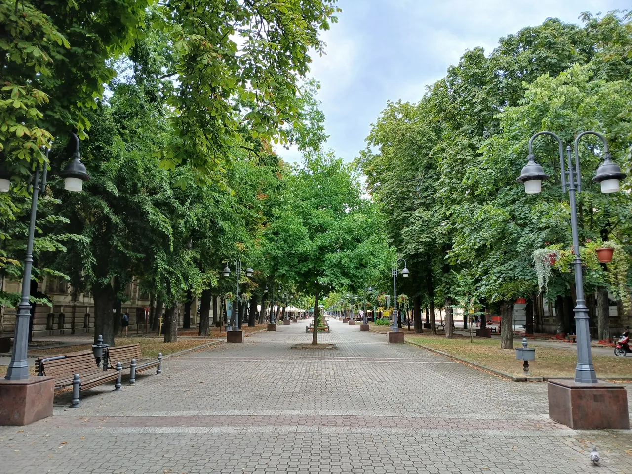 20250722_130215.jpg