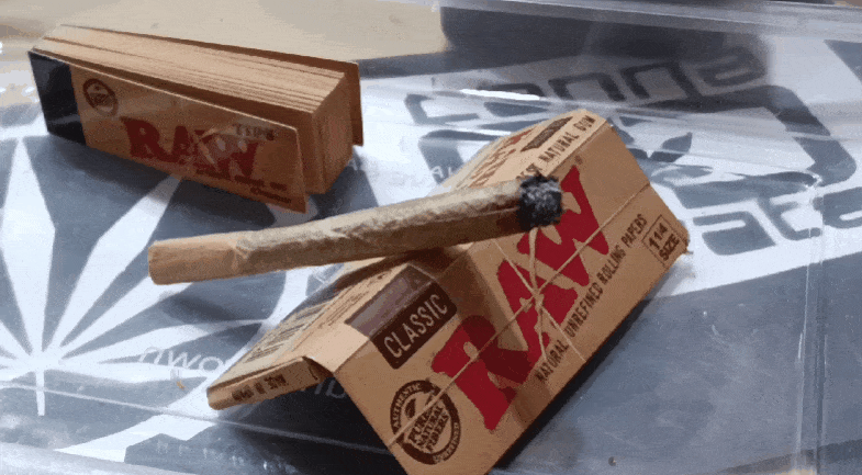 Media_230709_203212.gif