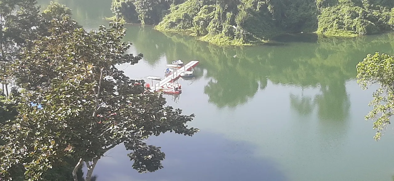 20201106_140929.jpg