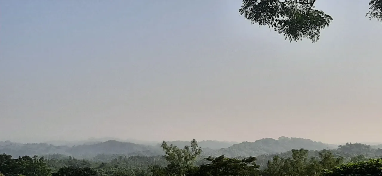 20201106_142148.jpg
