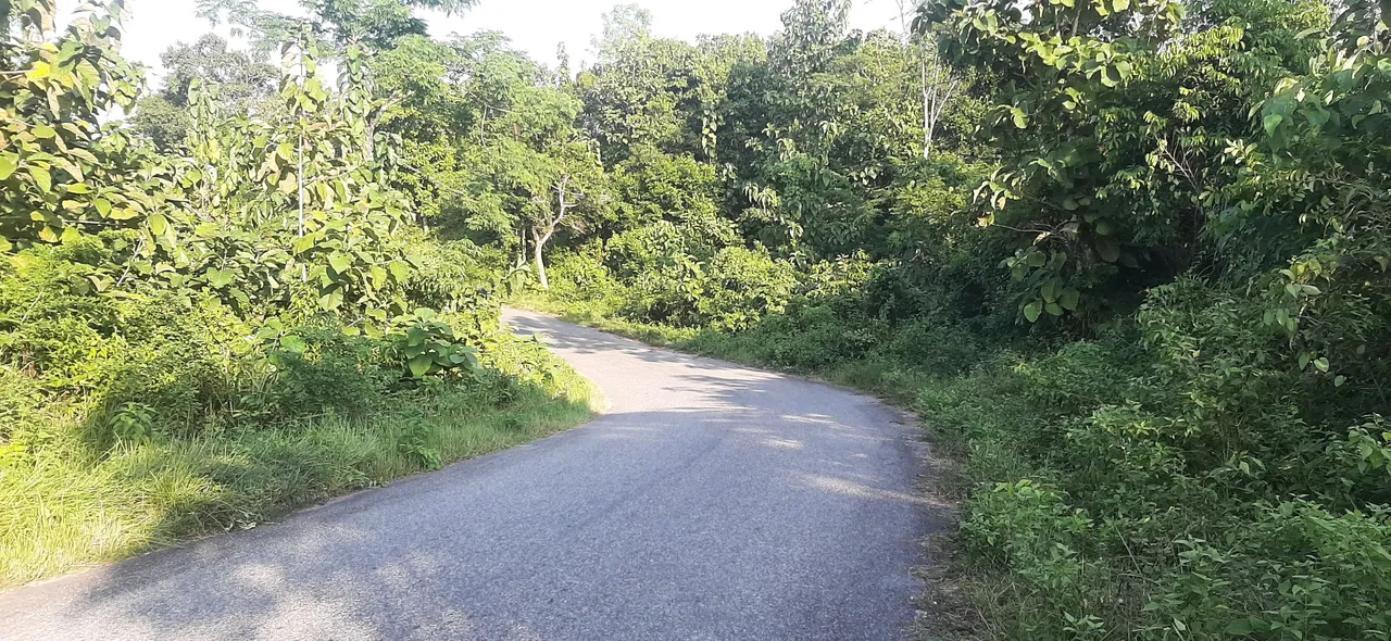 20201106_152641.jpg