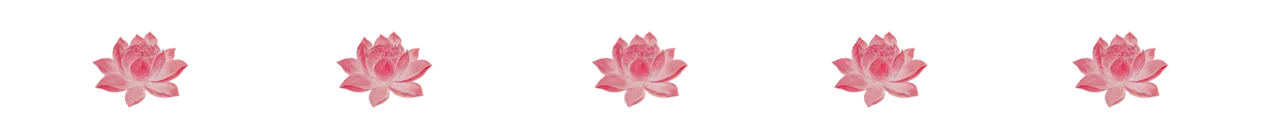 Picsart_24-12-04_22-08-11-225.png
