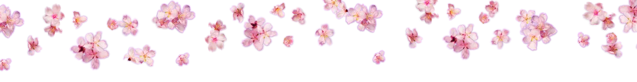 1000046836.png