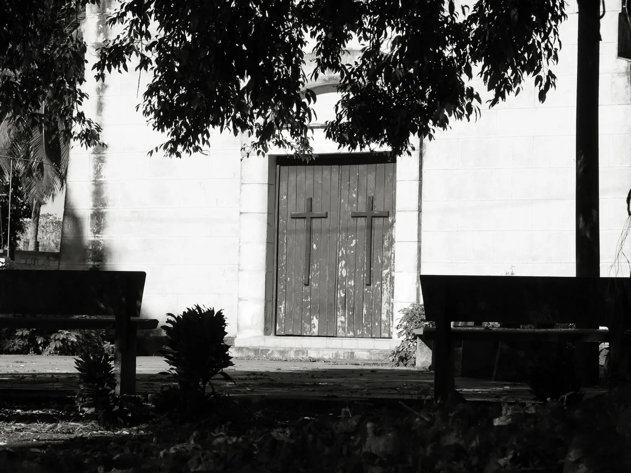 _1350123.JPG