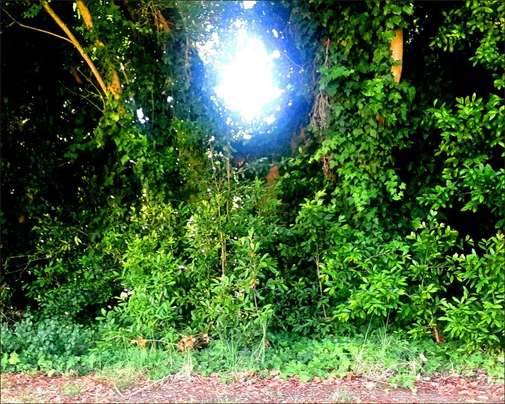 light2.jpg