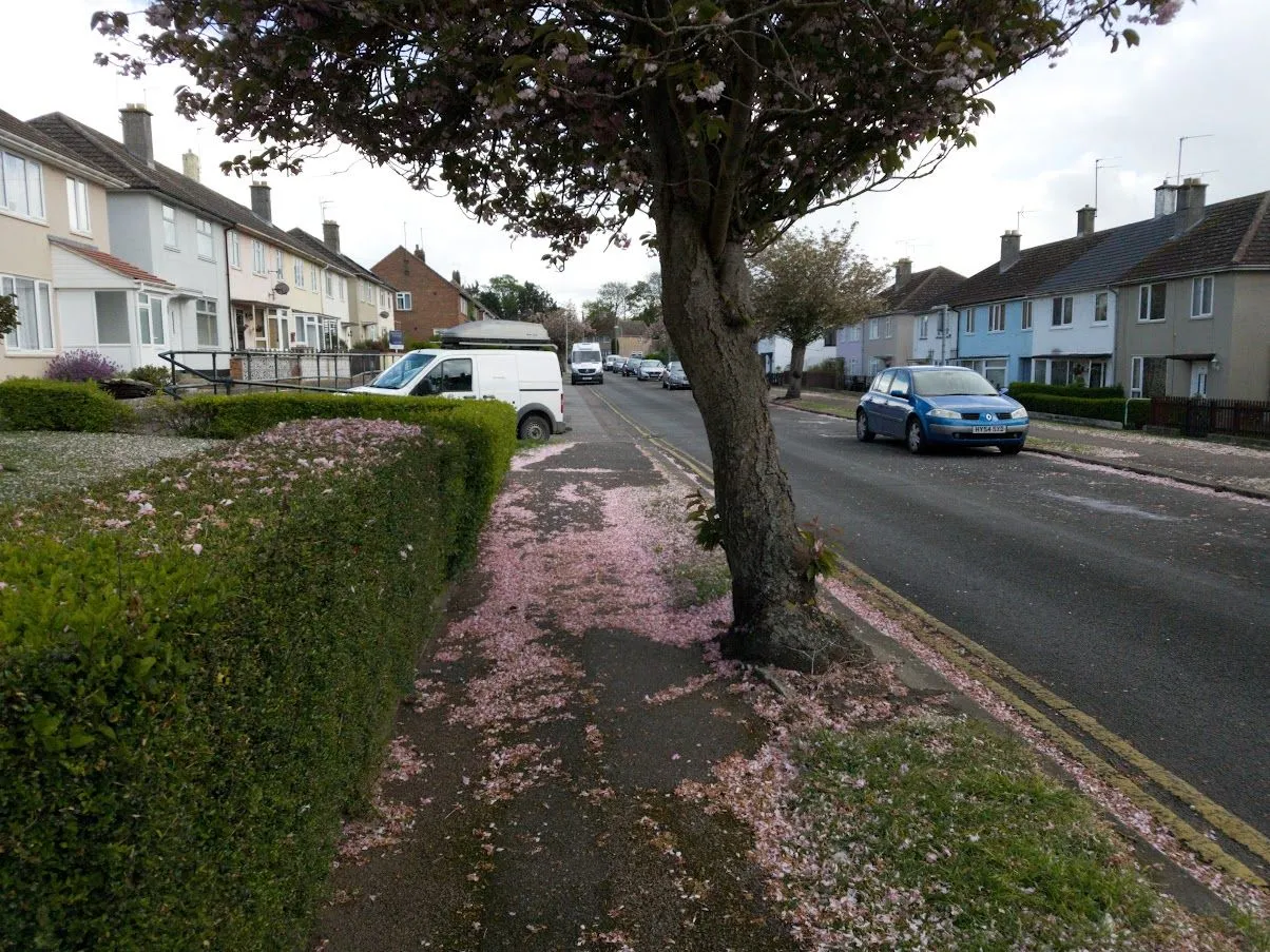 Learning to drive in the UK was a bit stressful for this American
