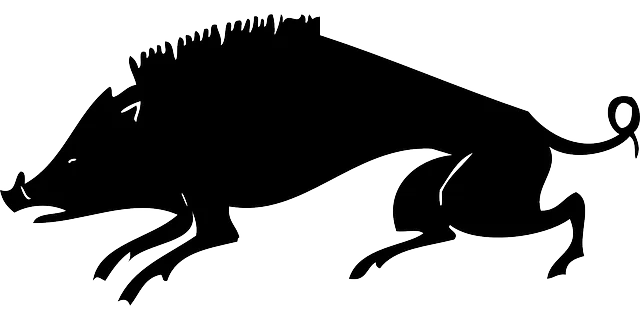boar-g27d29d6f1_640.png
