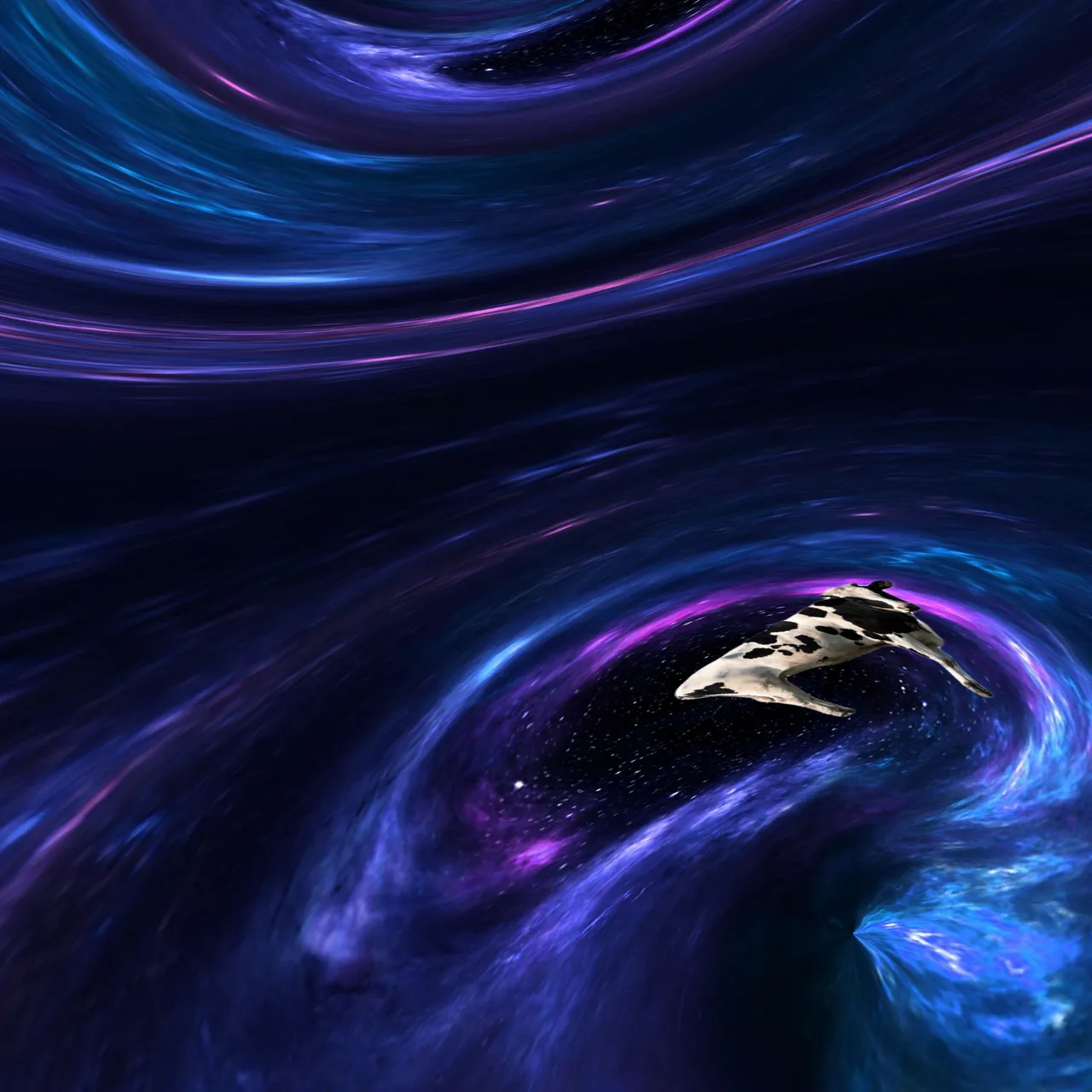 IMG_2191.PNG