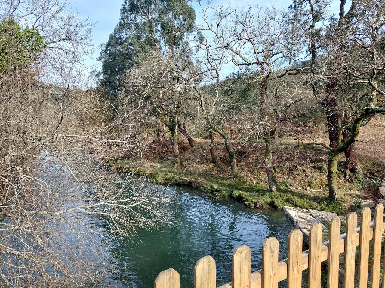 20240127_112540.jpg