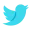 icons8-twitter-30.png