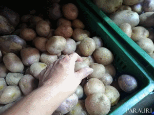 anigif.3.gif