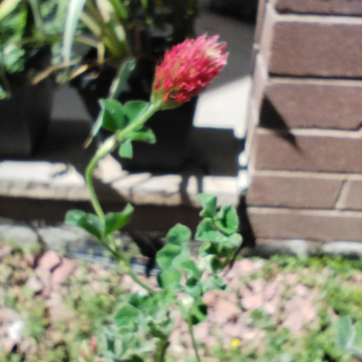 IMG_20230803_133342.jpg