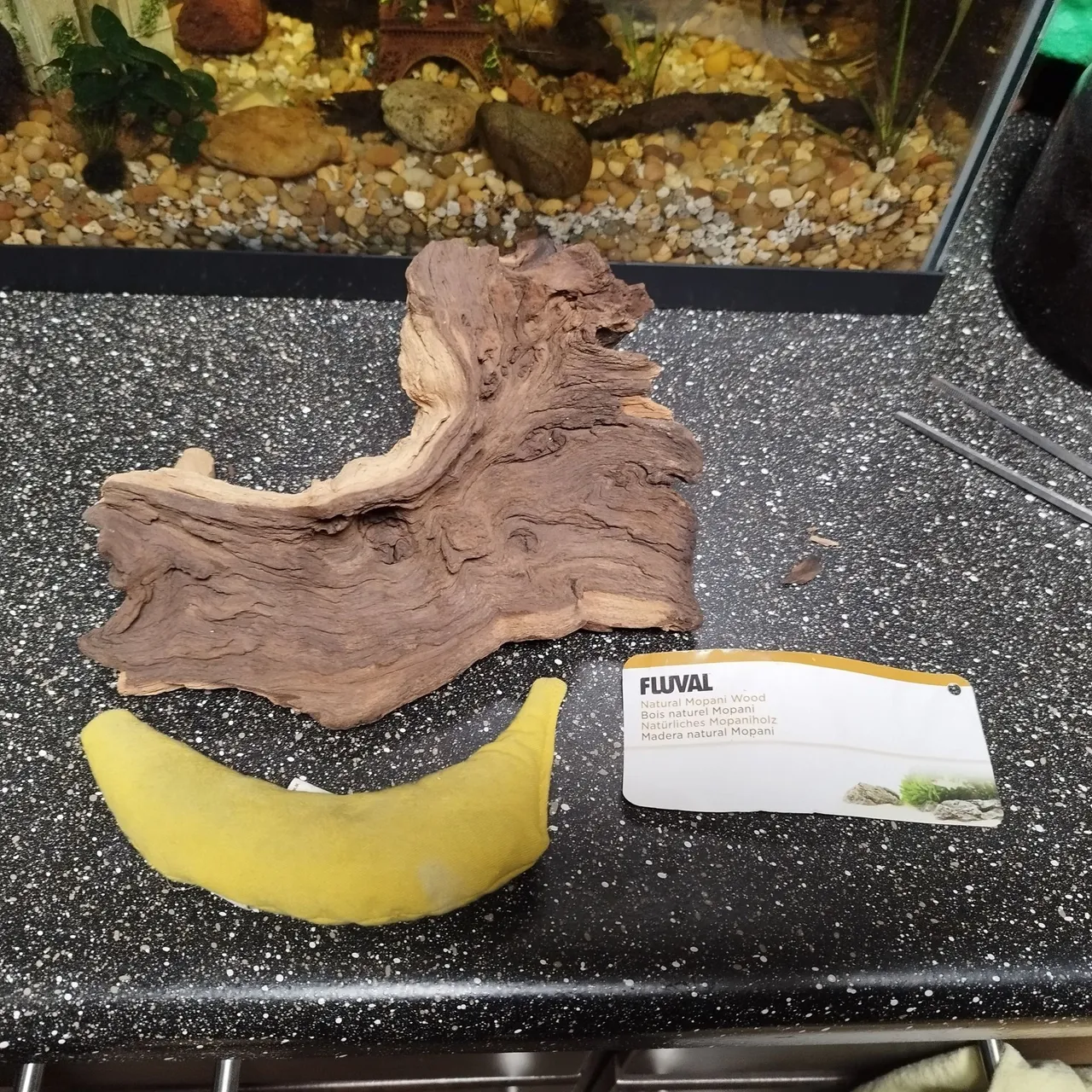 wood 3.jpg