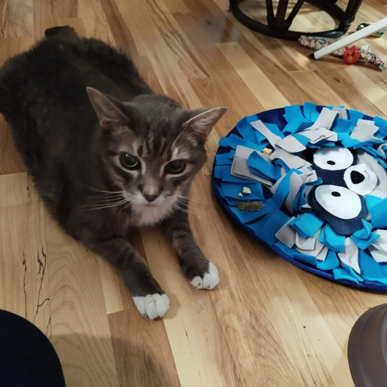 snuffle mat 1.jpg