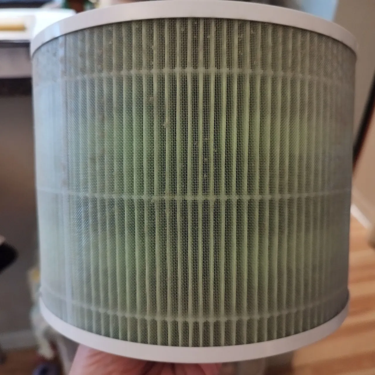 filter 3.jpg