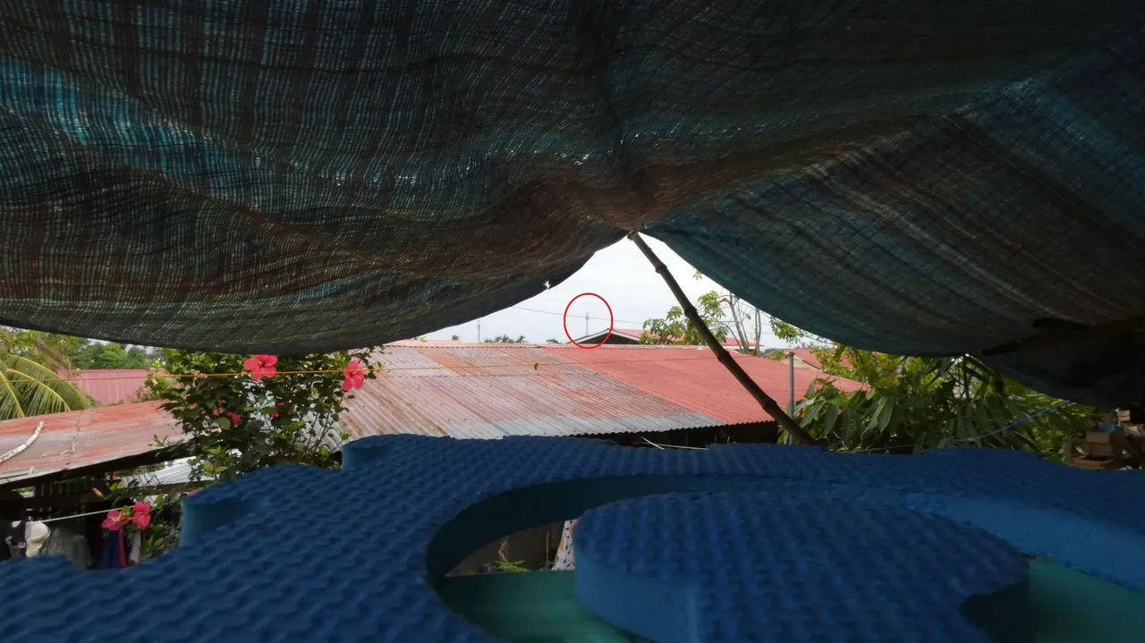 P1000203.JPG