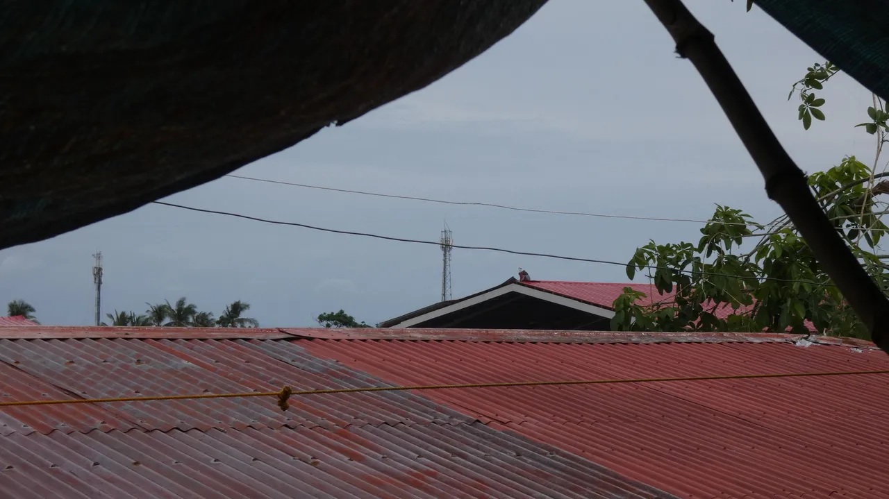 P1000205.JPG