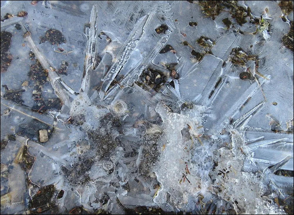 patterns in the ice 3.JPG