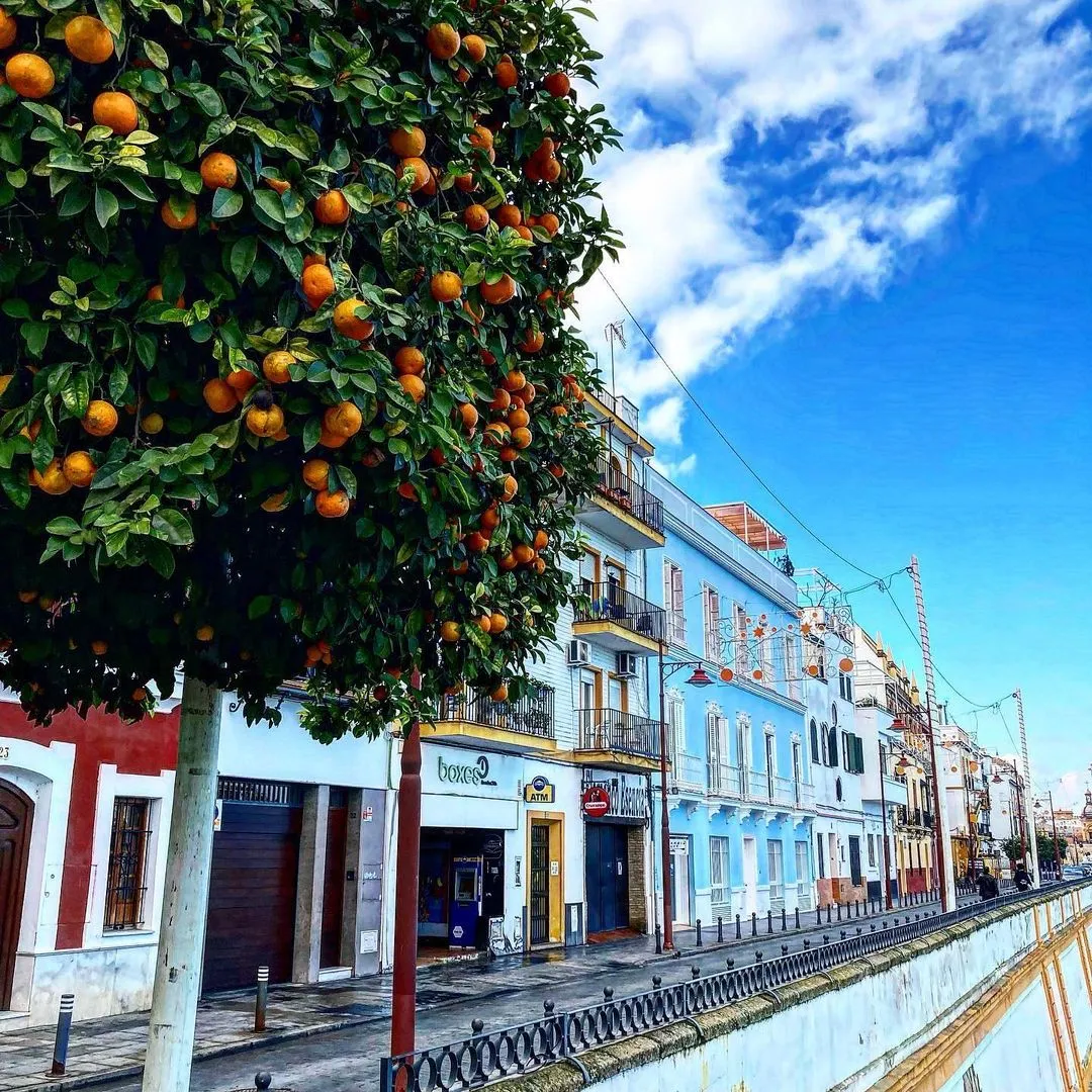 Historic Center of Seville