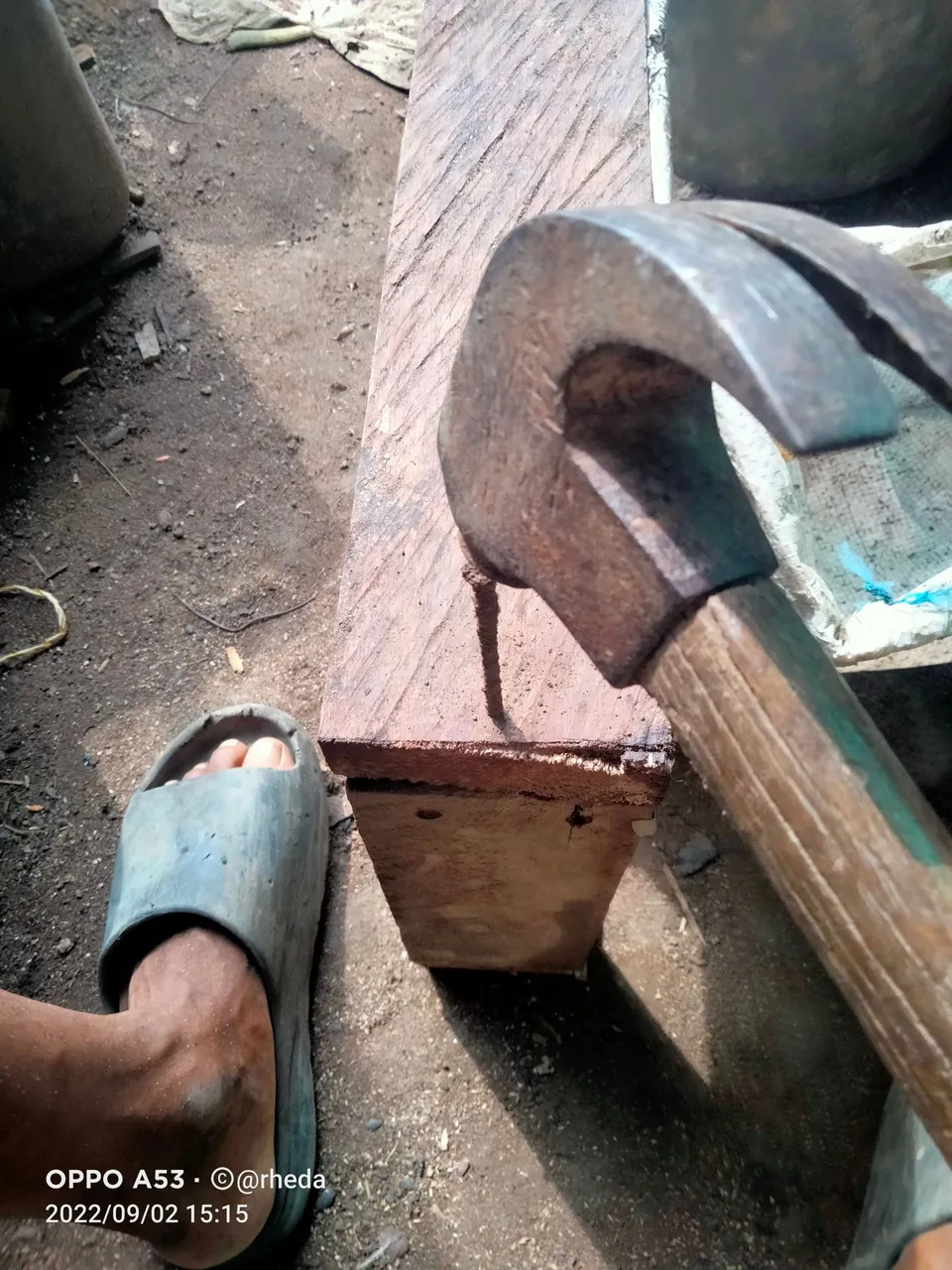 IMG20220902151534.jpg