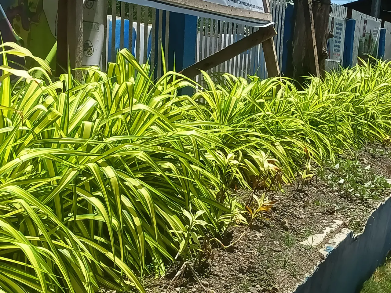 IMG20250522113215.jpg