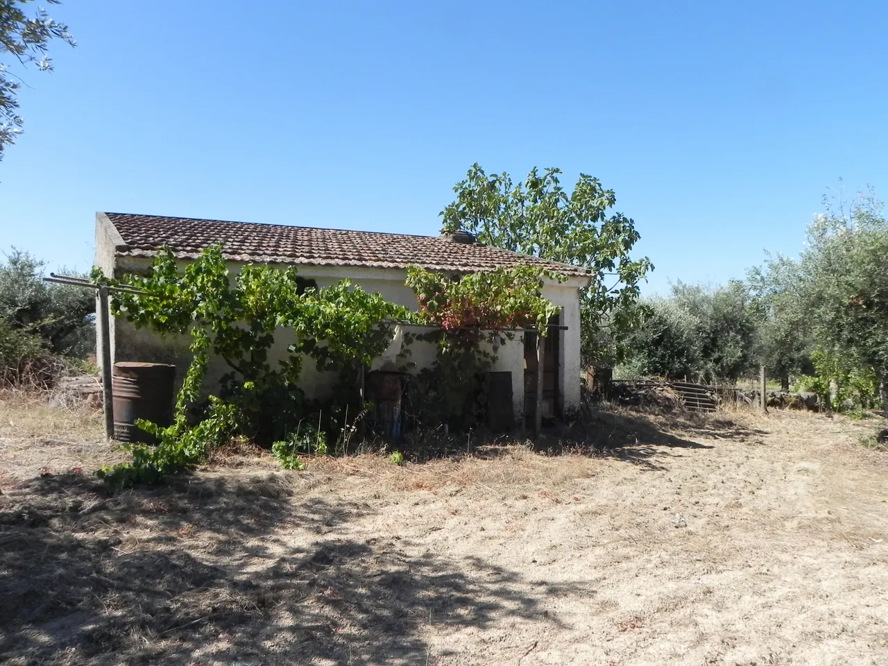 DSCN9258.JPG