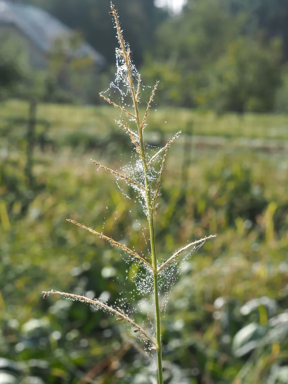 P9262332.JPG