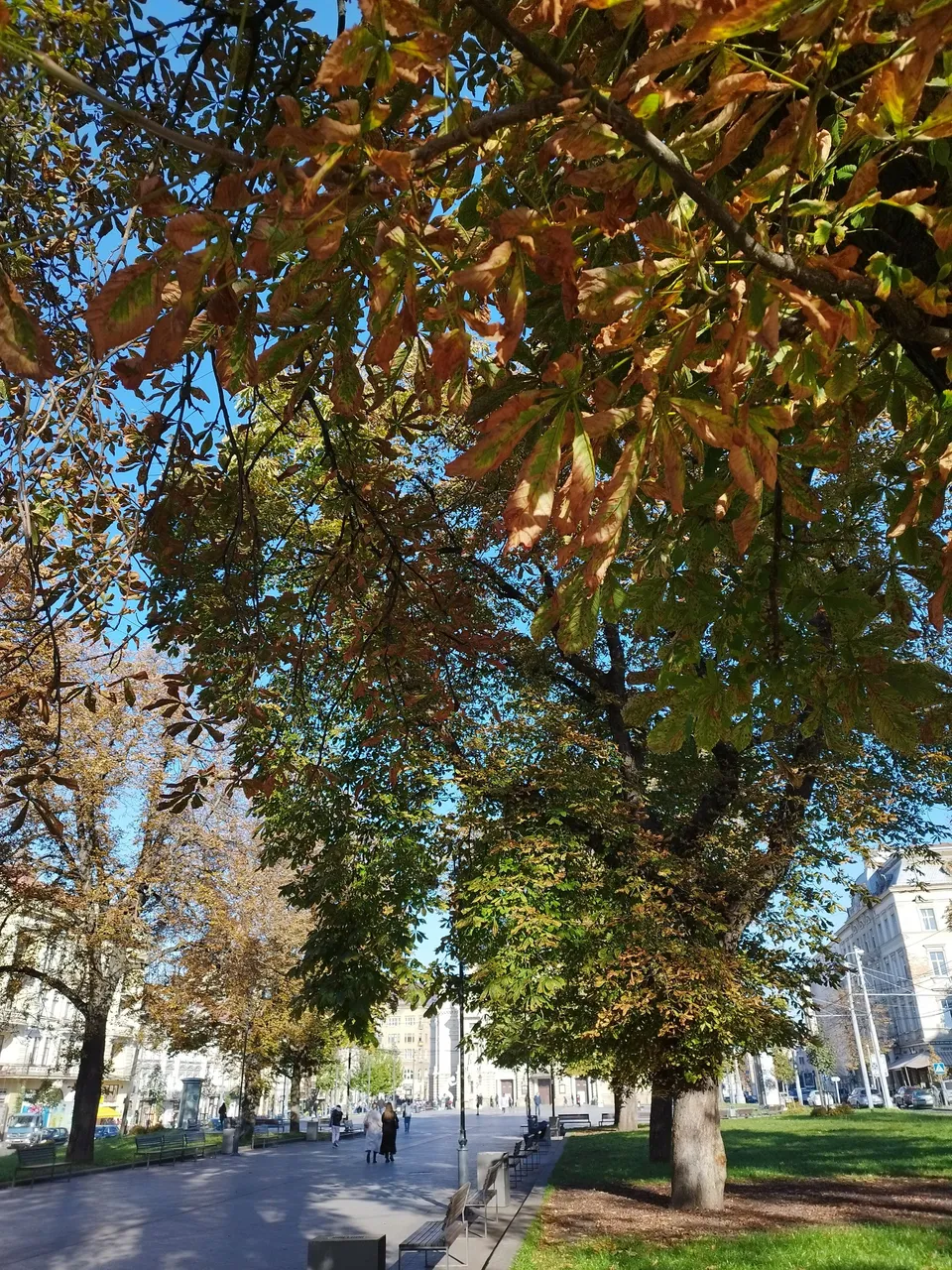 IMG_20231018_102457.jpg