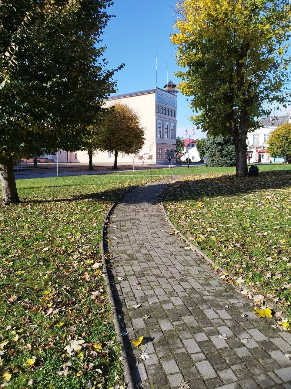 IMG_20231026_110530.jpg