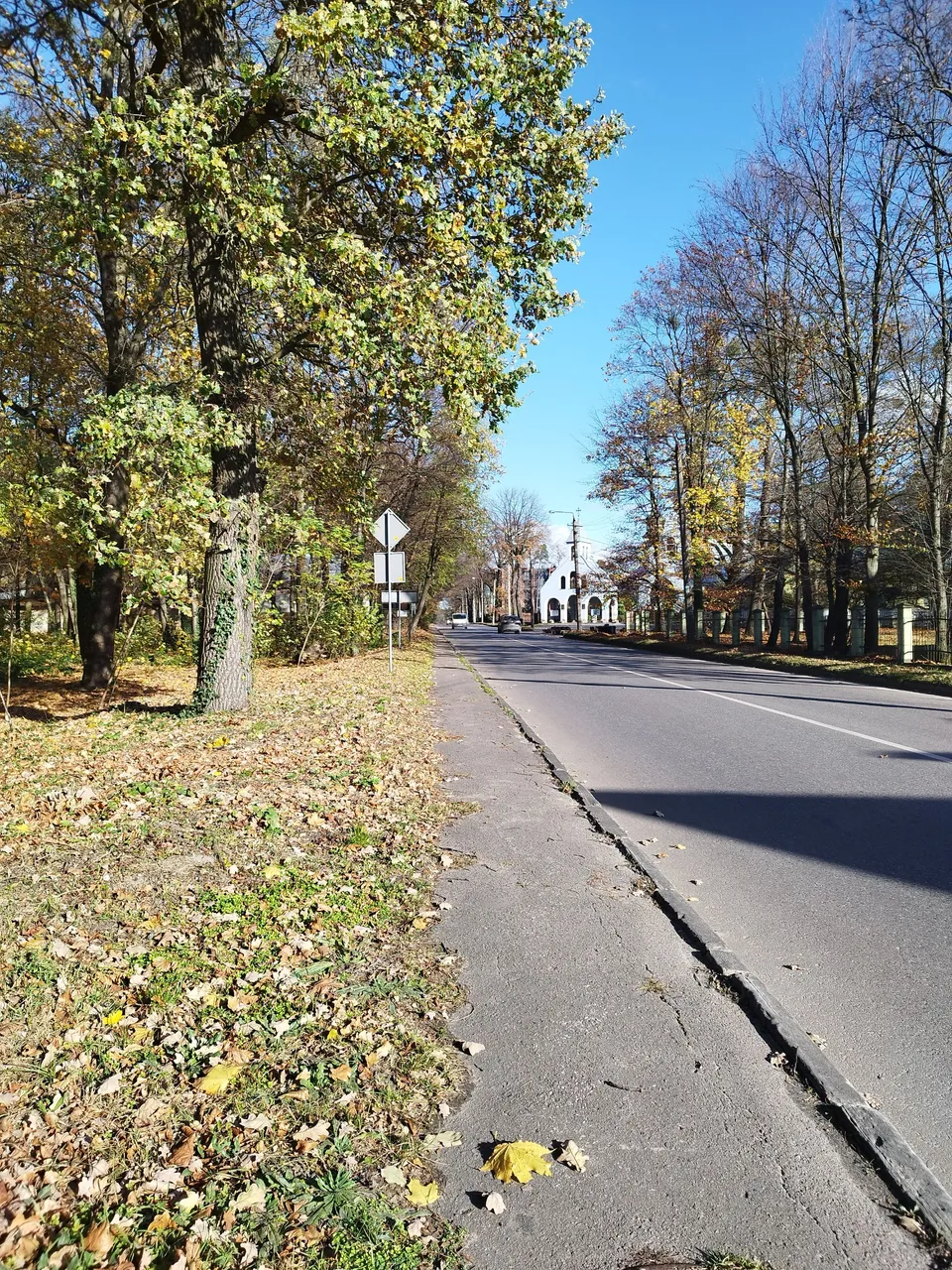 IMG_20231109_132655.jpg
