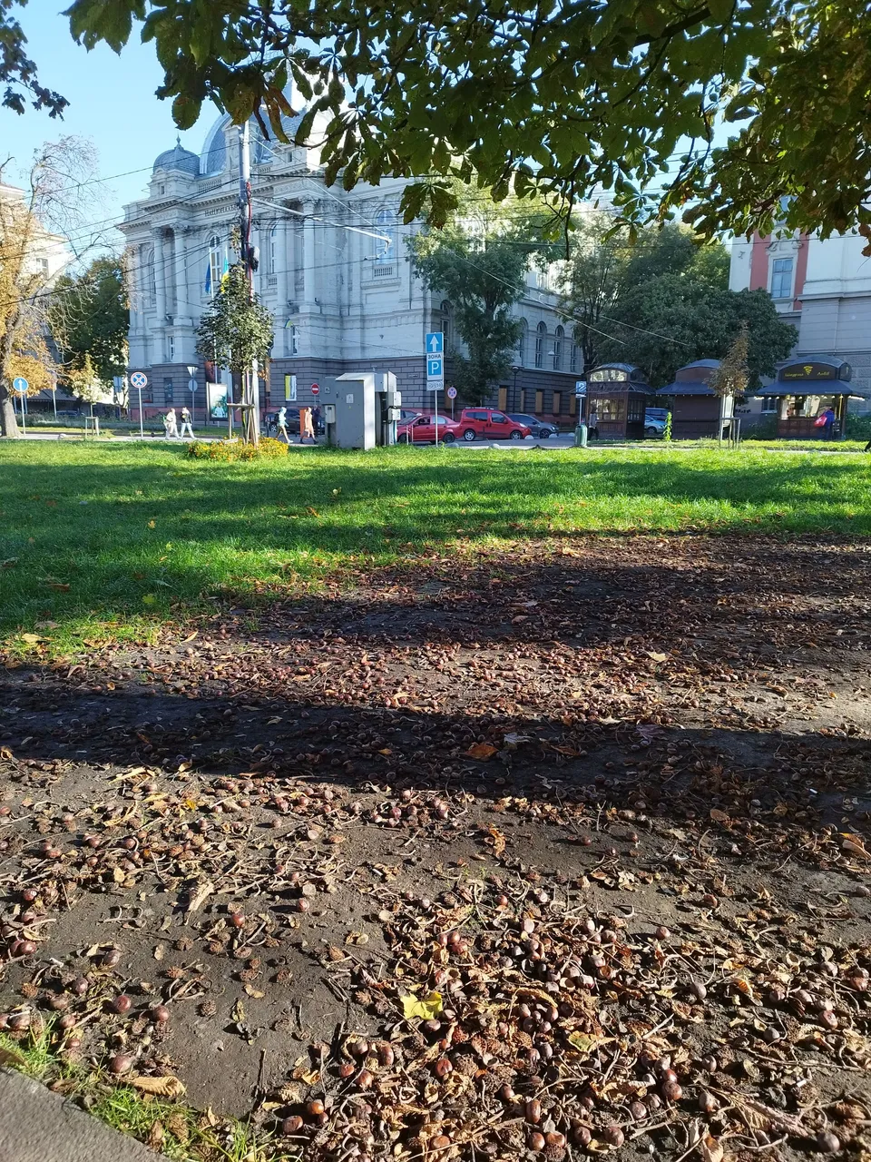 IMG_20231018_102519.jpg