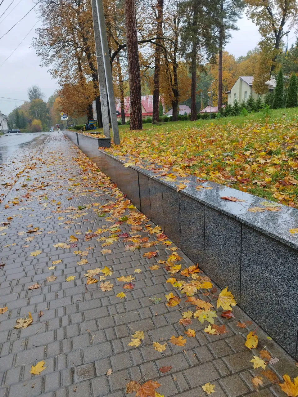 IMG_20231025_114018.jpg