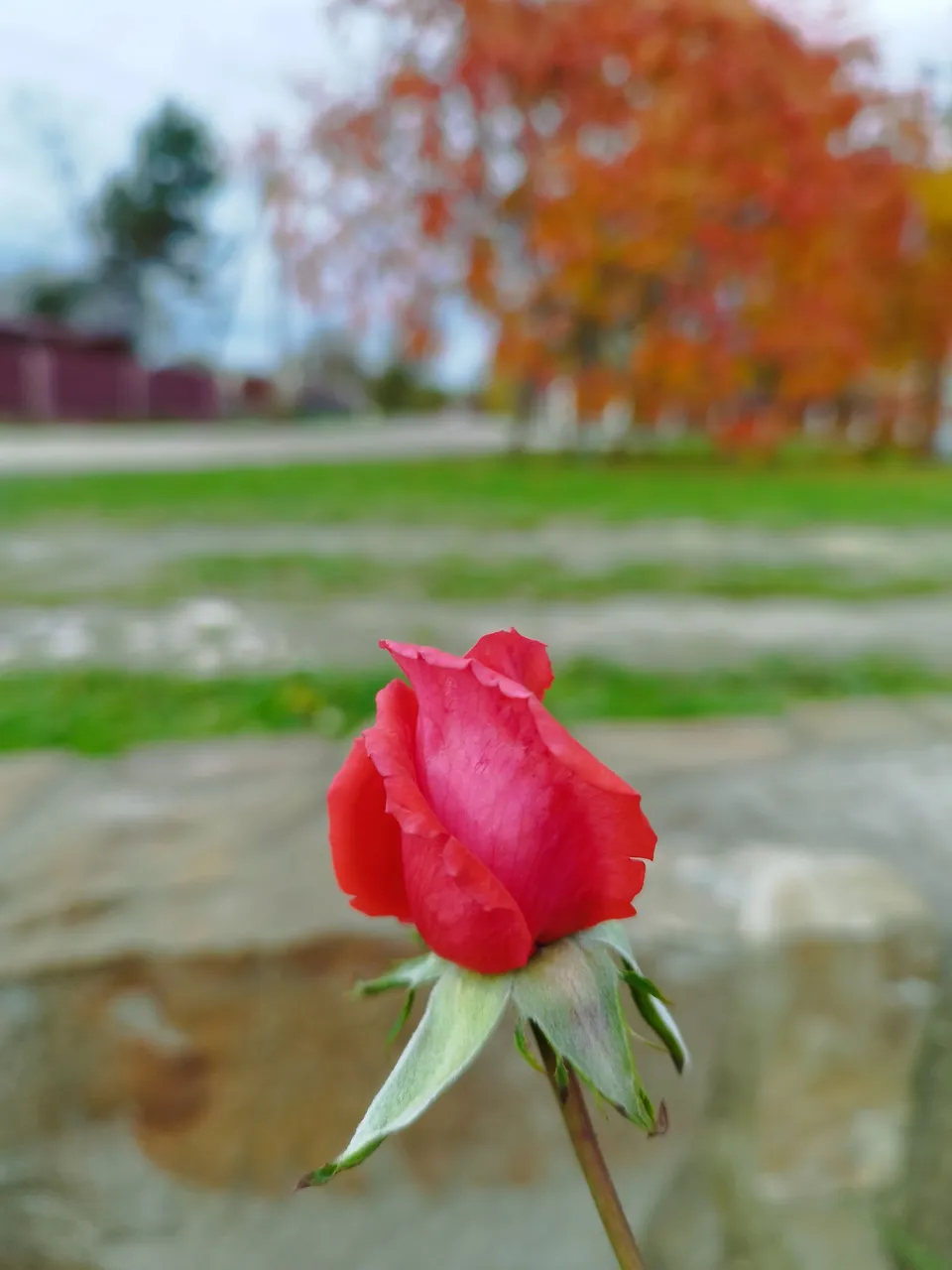 IMG_20231023_162140.jpg