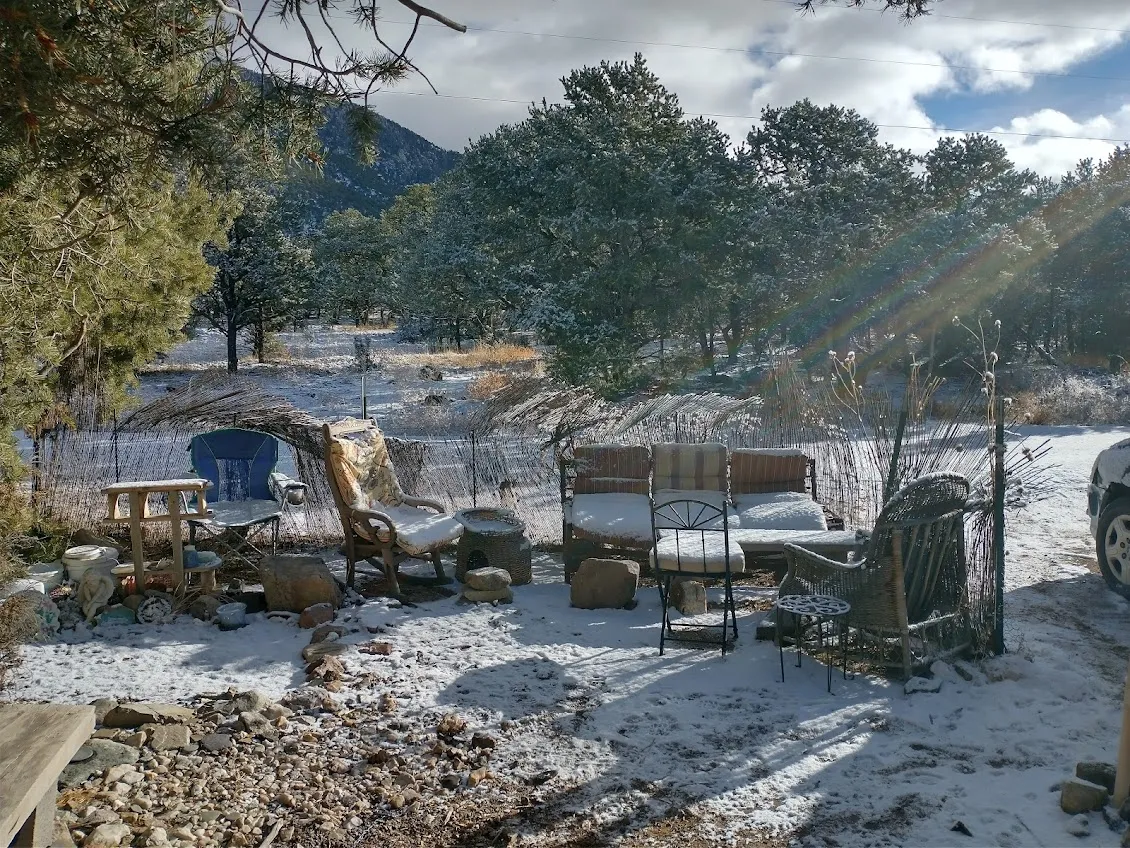 Family home front yard.jpg