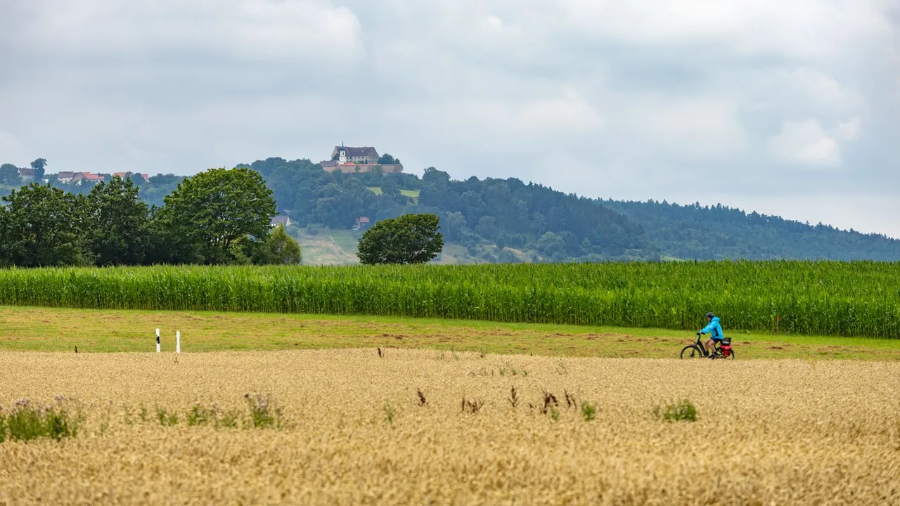 IL5A7709.jpg