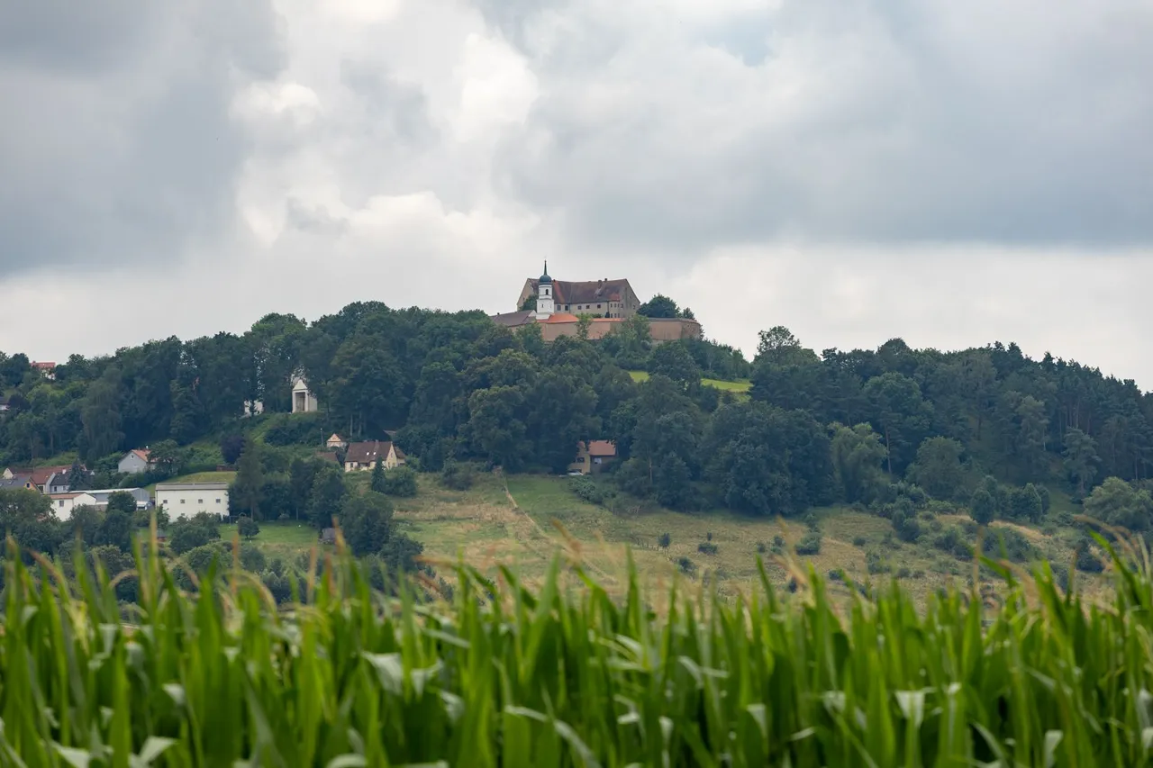 IL5A7720.jpg