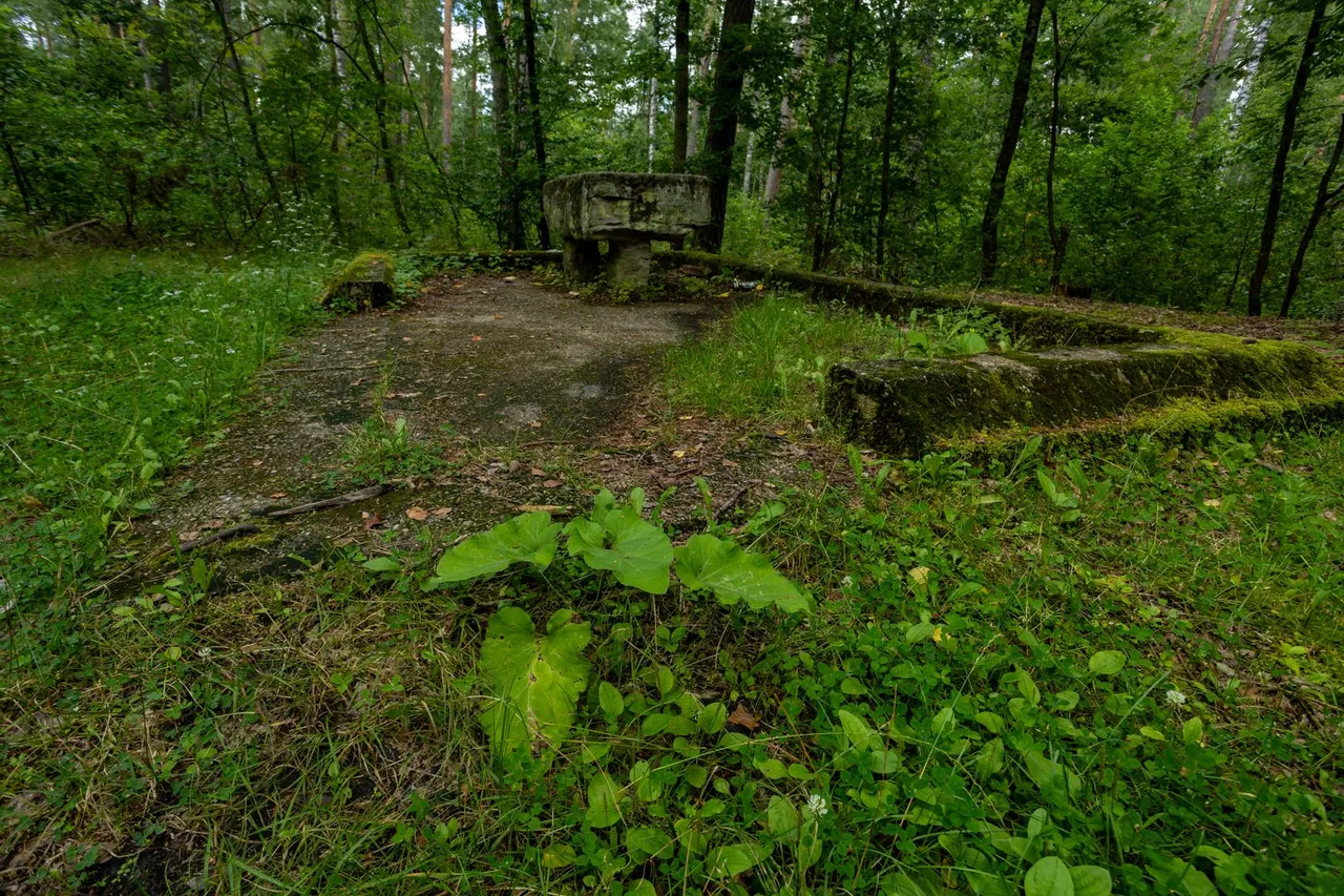 IL5A7556.jpg
