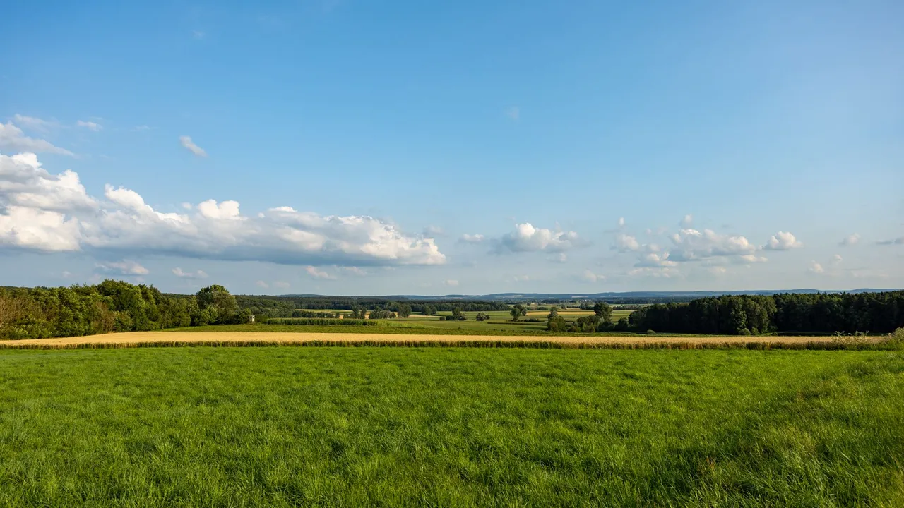 IL5A7779.jpg
