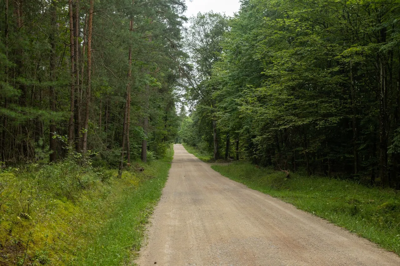 IL5A7654.jpg