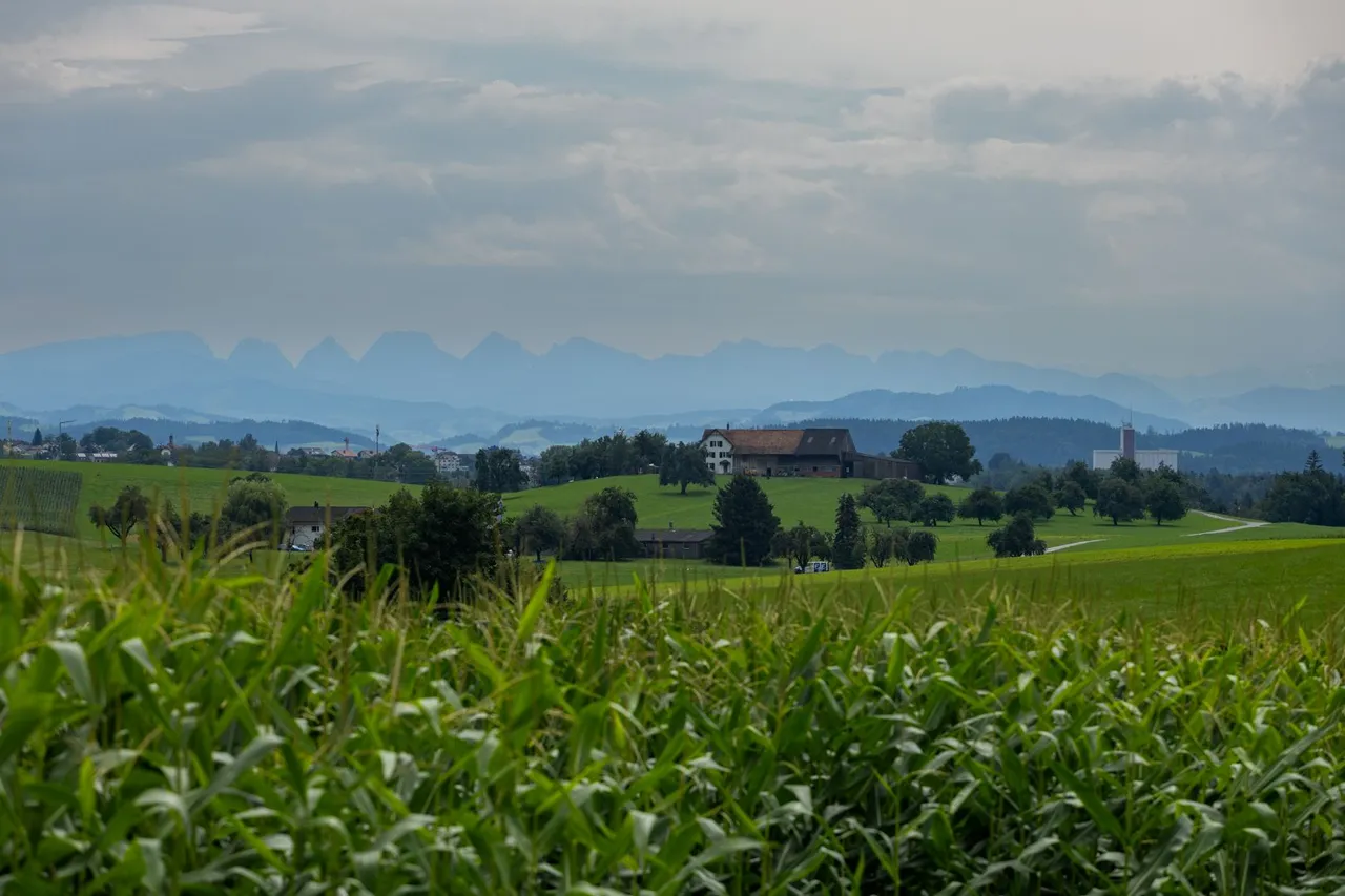 IL5A8565.jpg