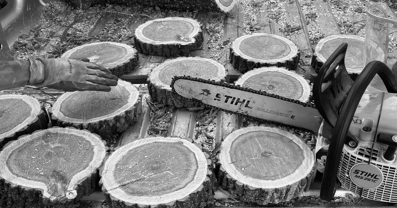 wood.jpg