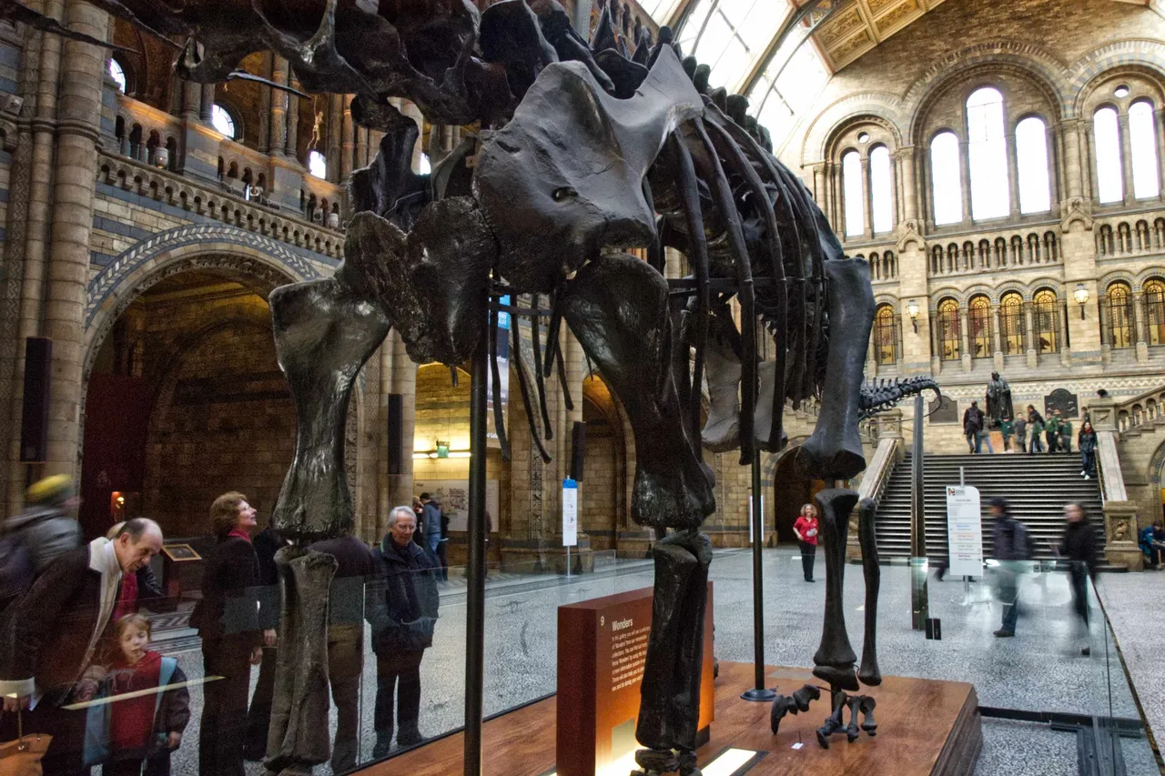 museum-10.jpg