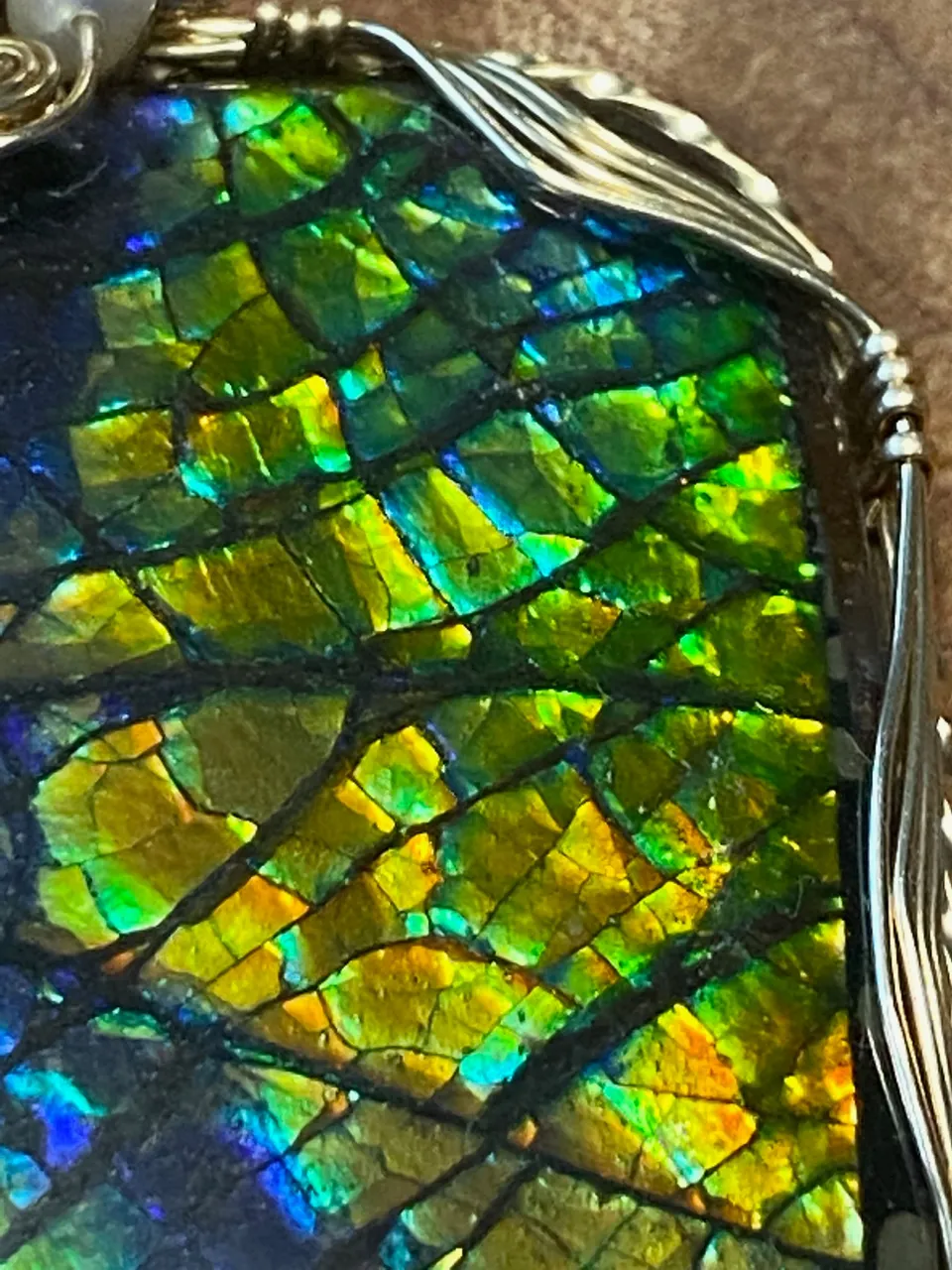 ammolite-6.jpg