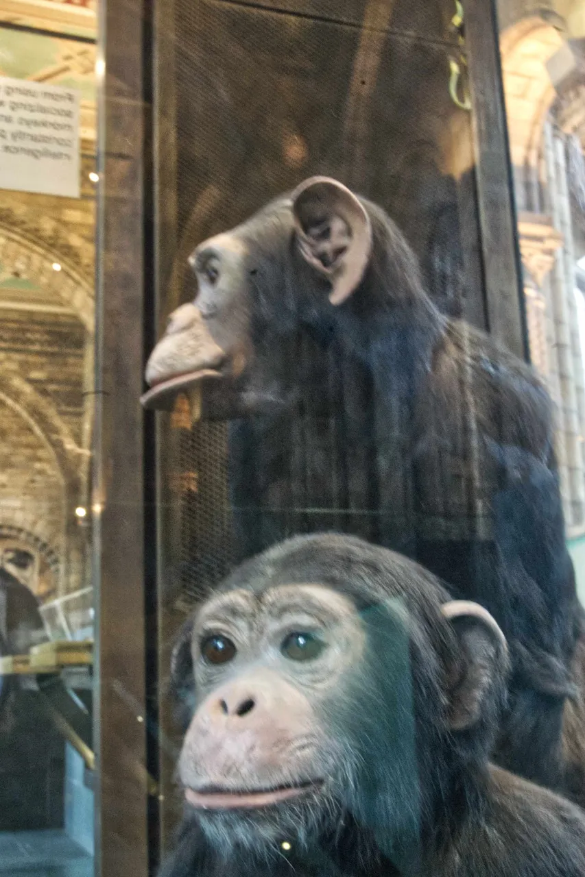 museum-17.jpg
