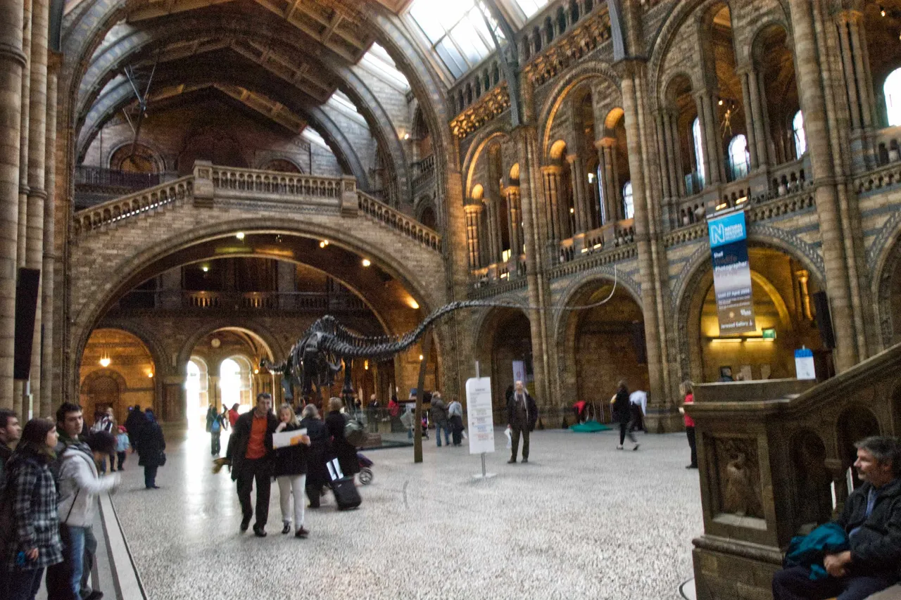 museum-11.jpg