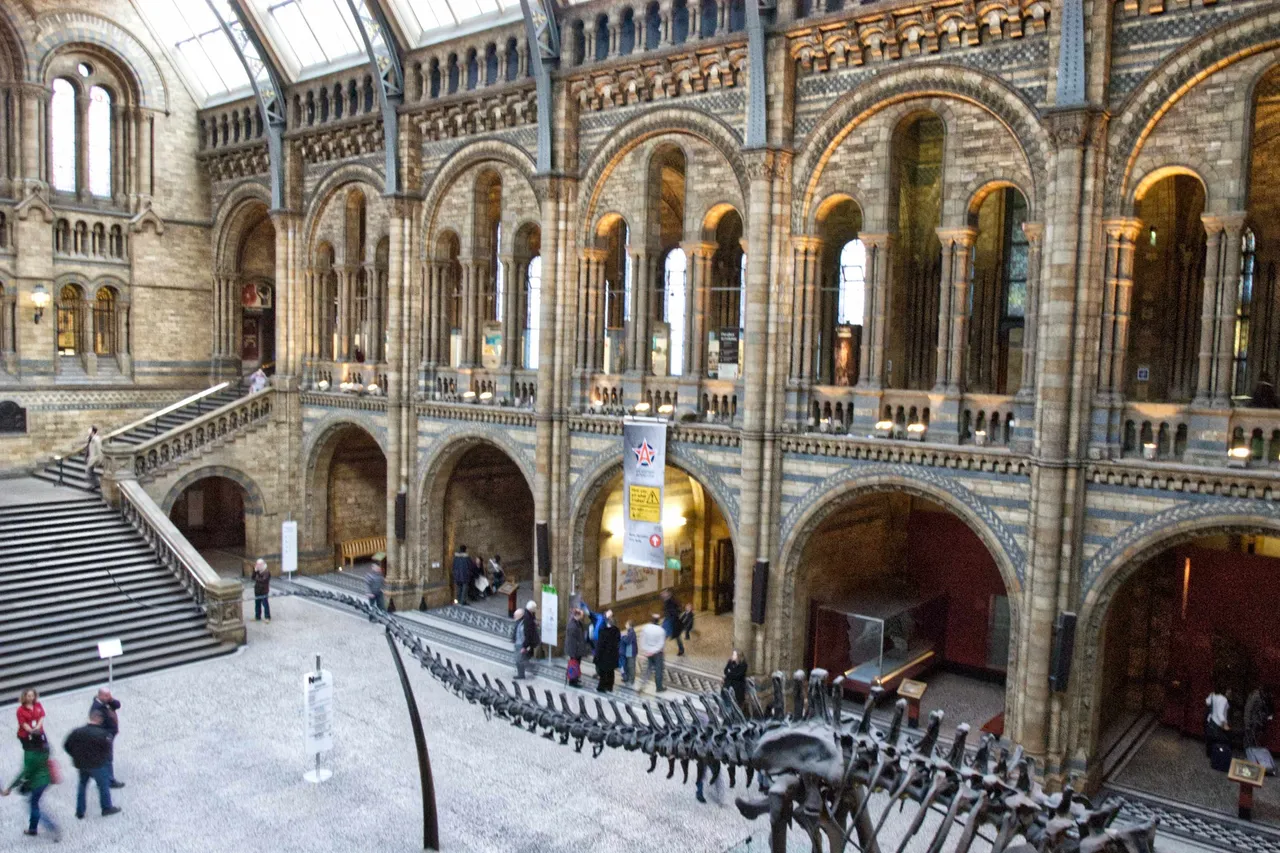 19museum-.jpg