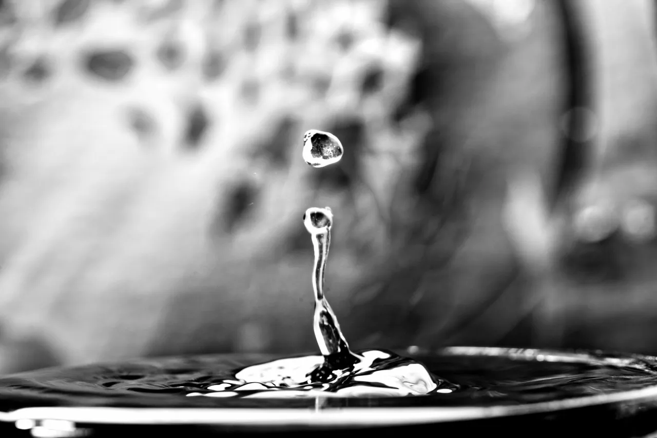 drop--8bw.jpg