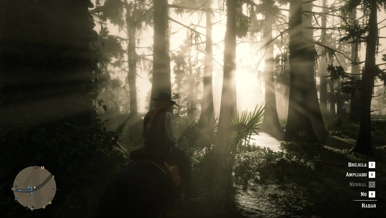 Red Dead Redemption 2 Screenshot 2023.11.05 - 17.52.09.10.png
