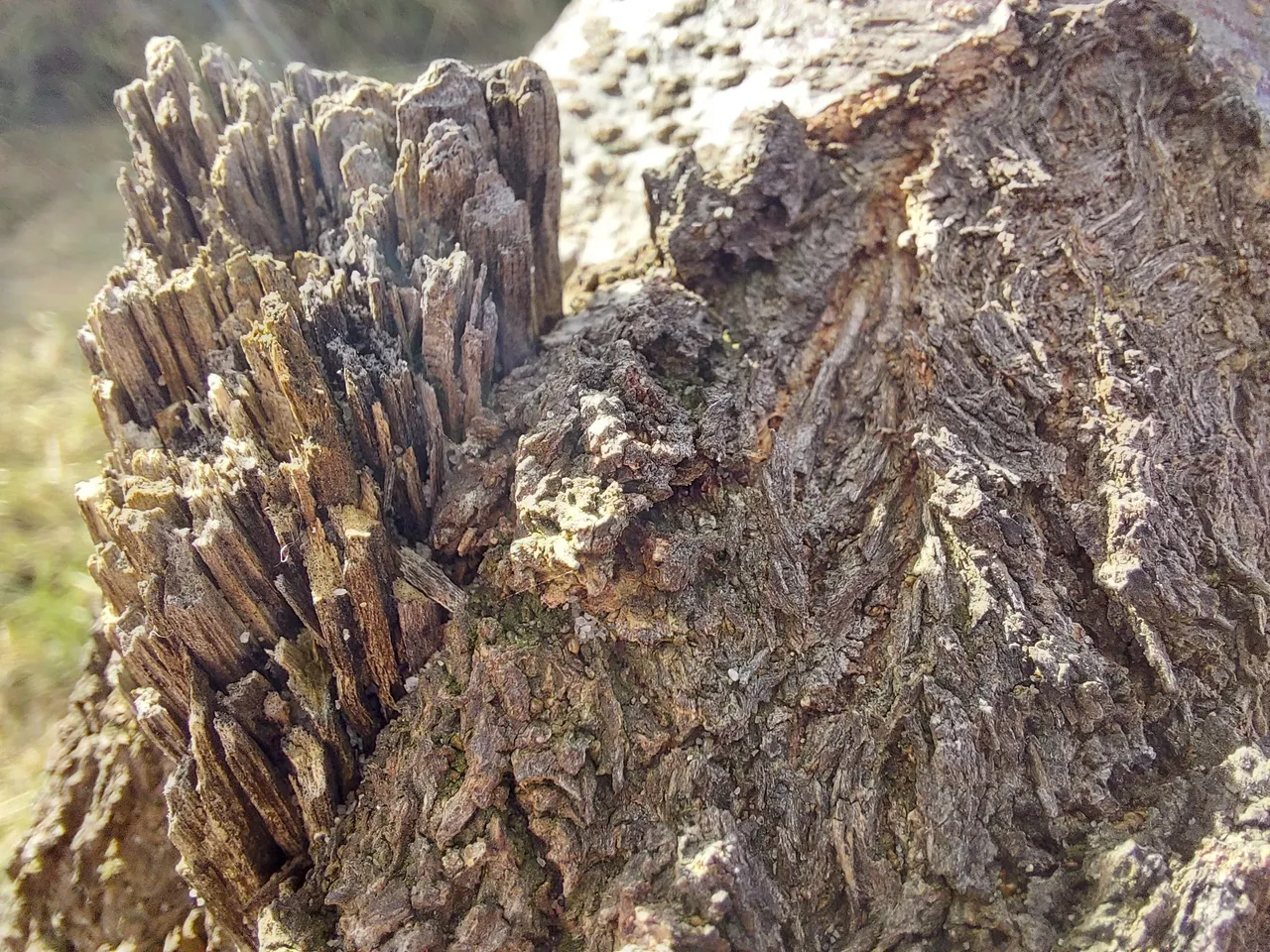 20220904_153741.jpg