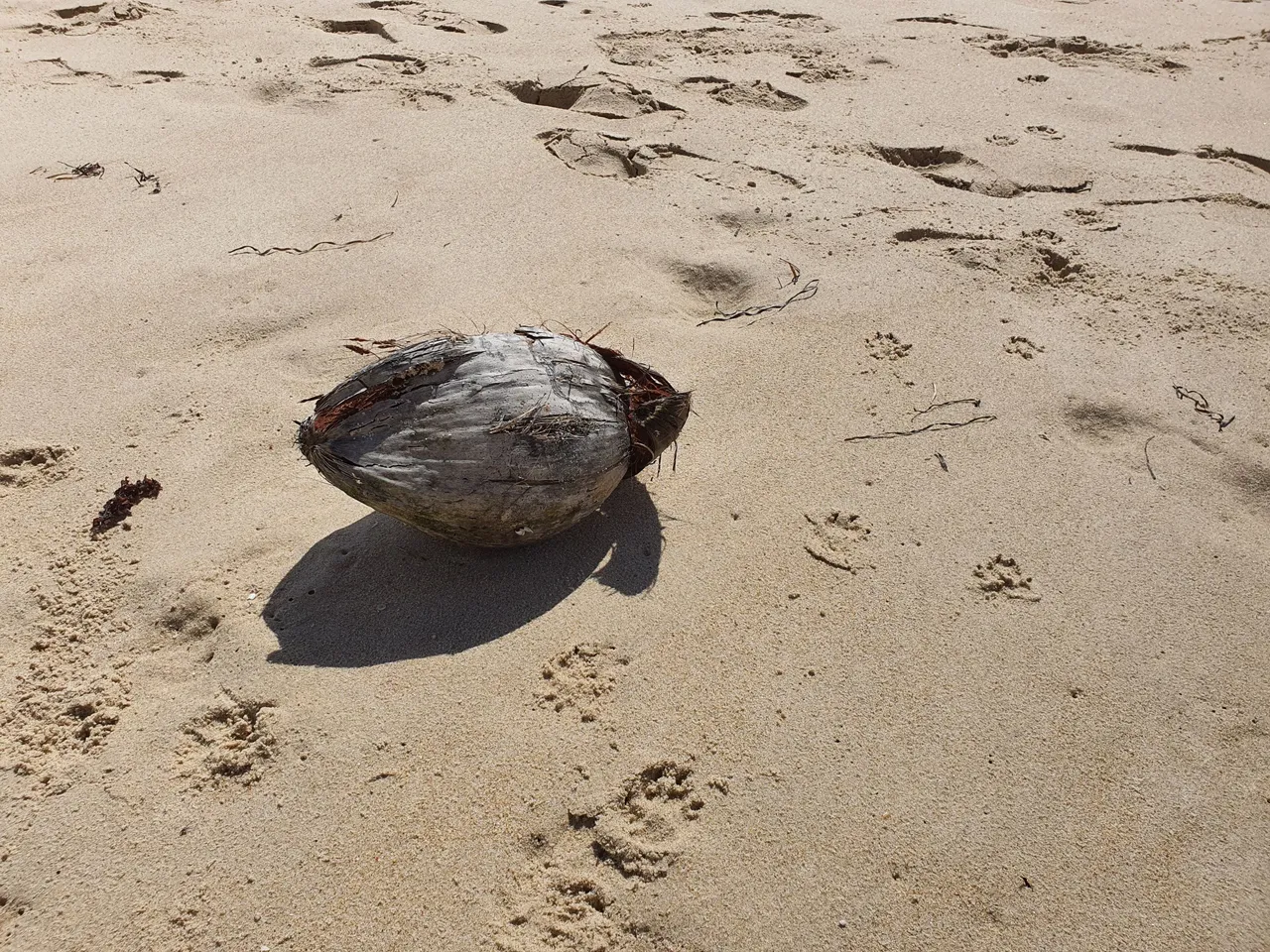 20220129_090523.jpg
